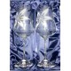 Šampus duo 220ml s kamínkami Swarovski