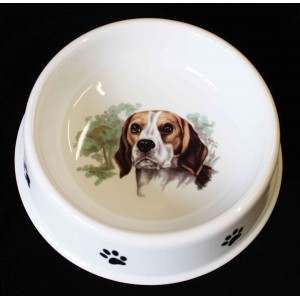 Miska pro psy Beagle