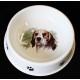Miska pro psi Beagle
