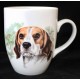 Hrnek Beagle