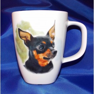 Hrnek 250ml Krysařík