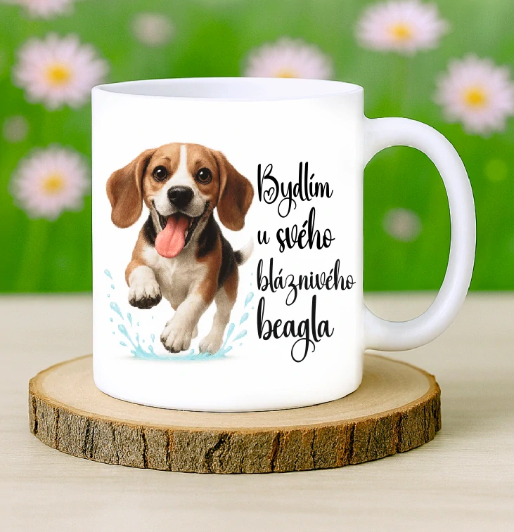Hrneček Beagle
