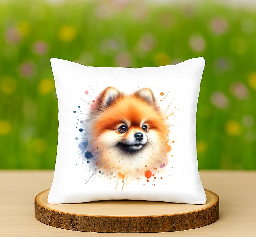 Polštář Pomeranian