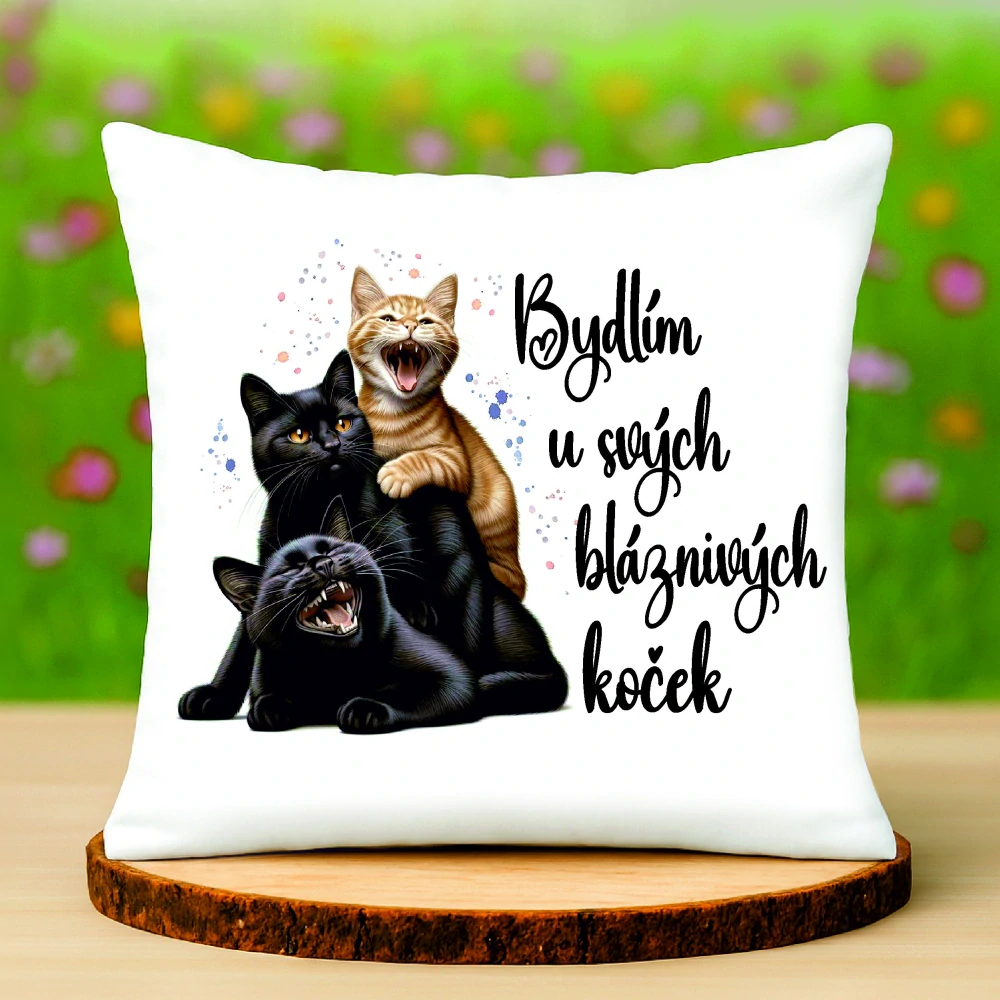 Polštář Bydlím u svých koček
