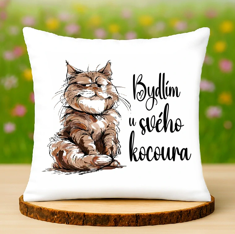 Polštář Bydlím u svého kocoura