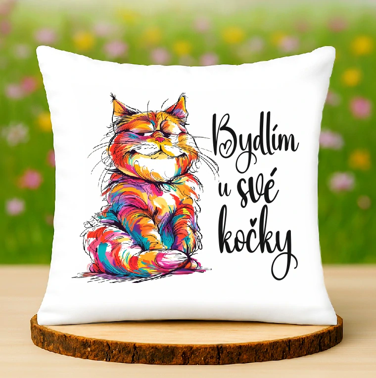 Polštář Bydlím u své kočky