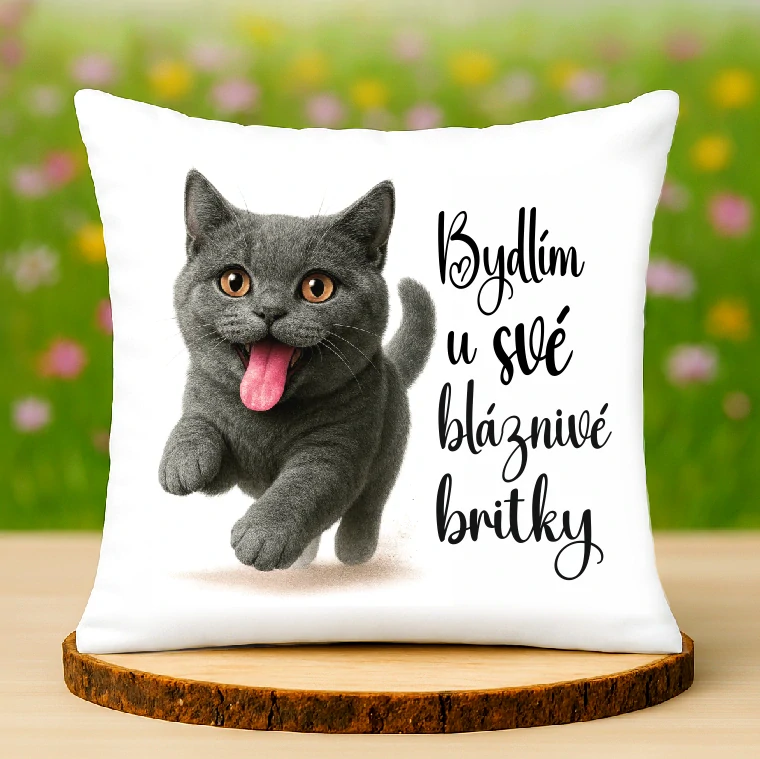 Polštář Britská kočka