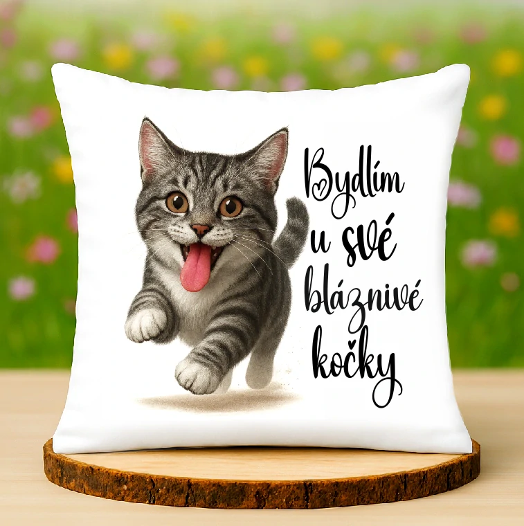 Polštář Bláznivá kočka