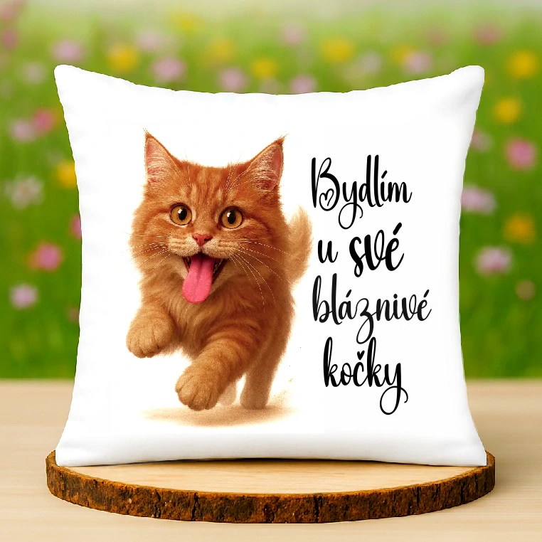 Polštář Bláznivá kočka