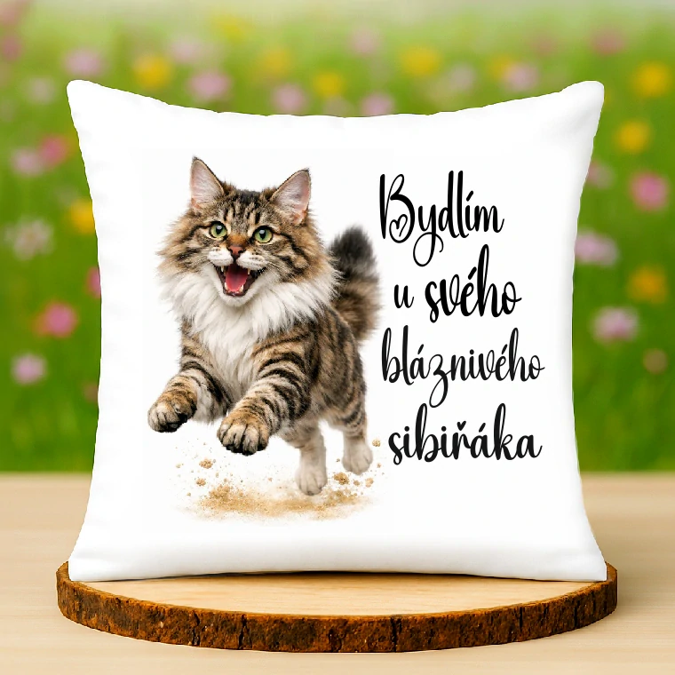 Polštář Sibiřská kočka