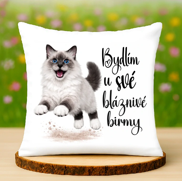 Polštář Birma kočka