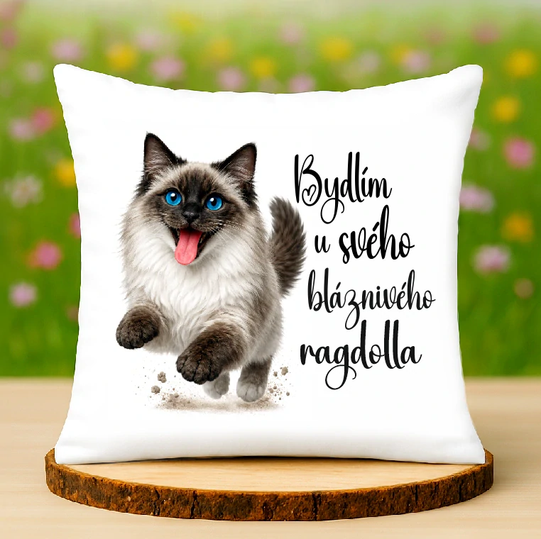 Polštář Ragdoll kočka