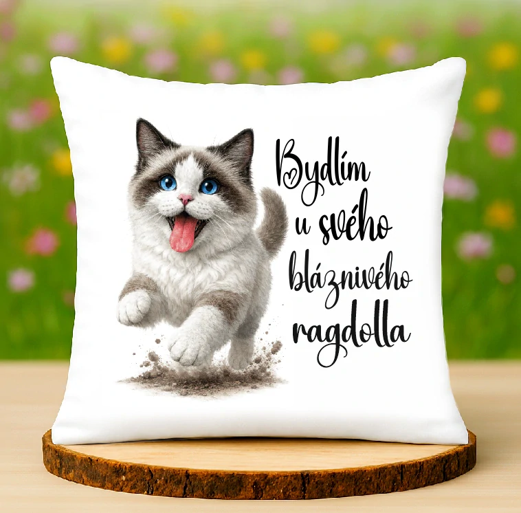Polštář Ragdoll kočka