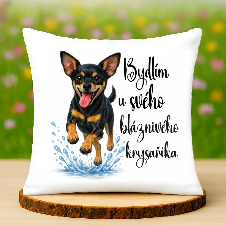 Polštář Pražský krysařík