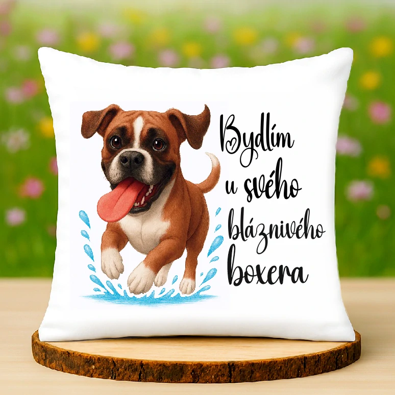 Polštář Boxer