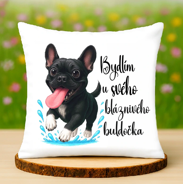Polštář Francouzský buldoček