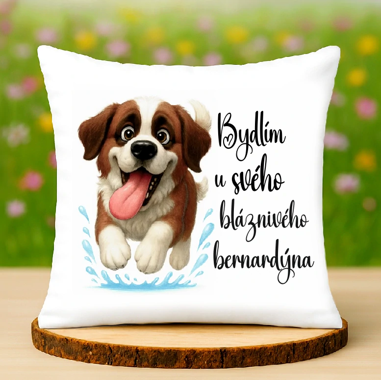 Polštář Bernardýn
