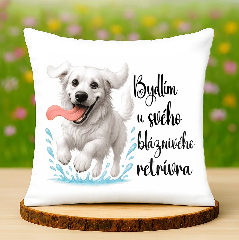 Polštář Bílý retrívr
