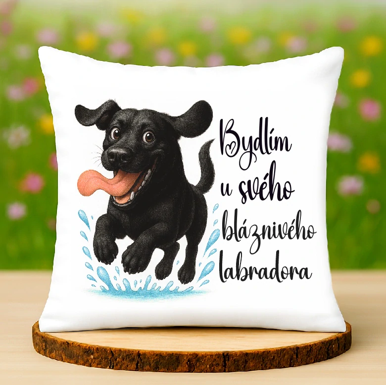 Polštář Labrador černý