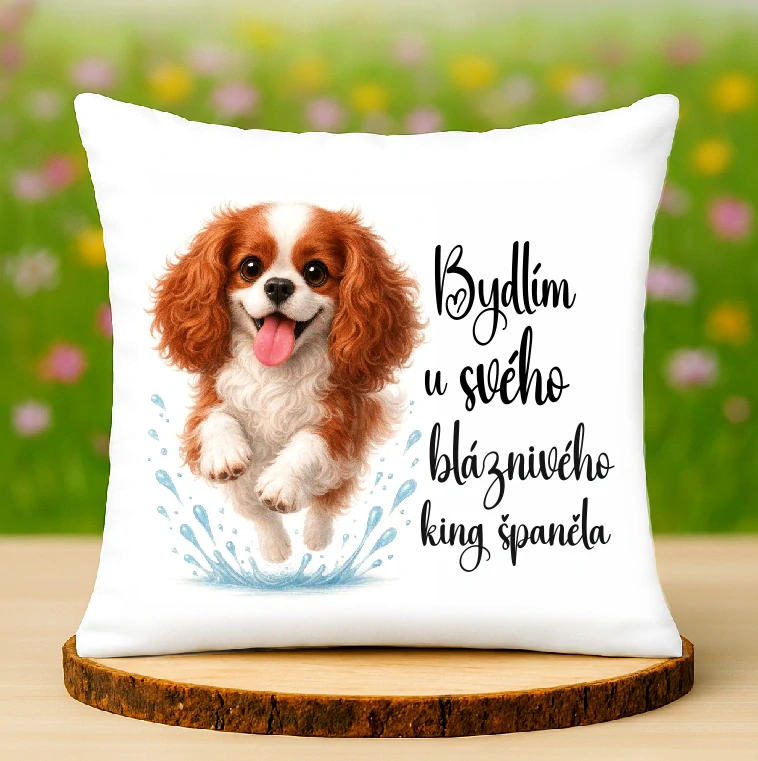 Polštář Kavalír King charles španěl