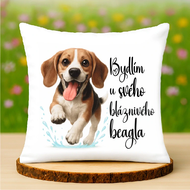 Polštář Beagle