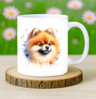 Hrneček Pomeranian