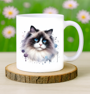 Hrneček Ragdoll
