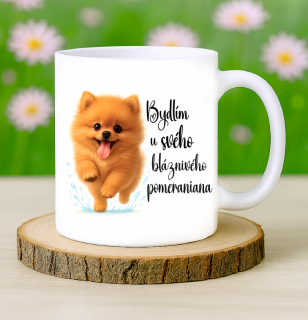 Hrneček Pomeranian