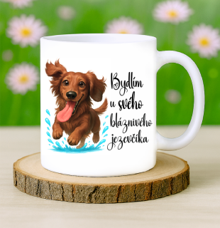 Hrneček Jezevčík dlouhosrstý
