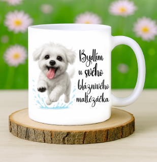 Hrneček Maltézský psík