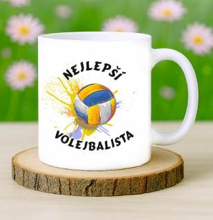 Hrneček Nejlepší volejbalista