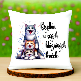 Polštář Bydlím u svých koček