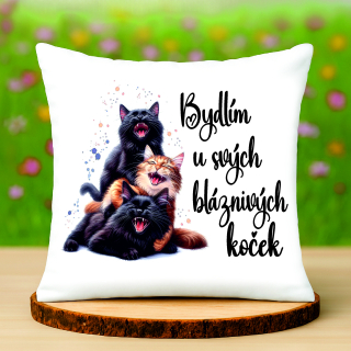 Polštář Bydlím u svých koček