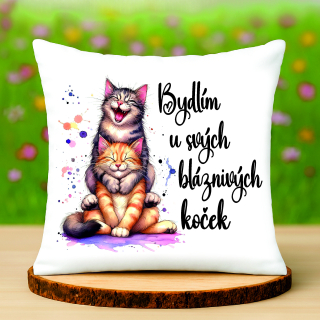 Polštář Bydlím u svých koček