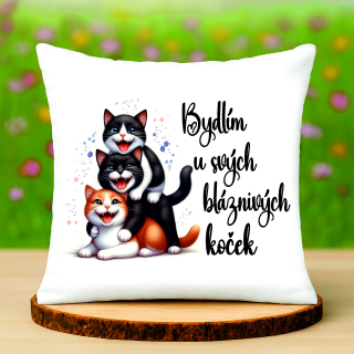 Polštář Bydlím u svých koček