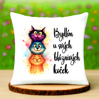 Polštář Bydlím u svých koček