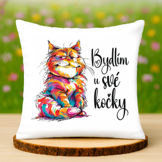 Polštář Bydlím u své kočky