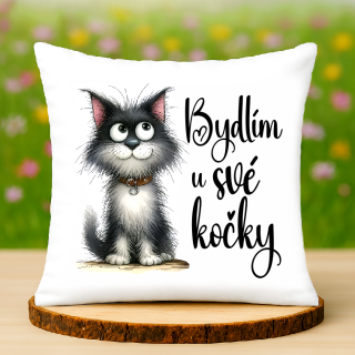 Polštář Bydlím u své kočky