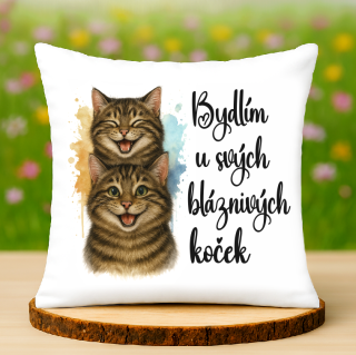 Polštář Bydlím u svých koček
