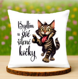 Polštář Bydlím u své kočky
