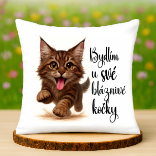 Polštář Bláznivá kočka
