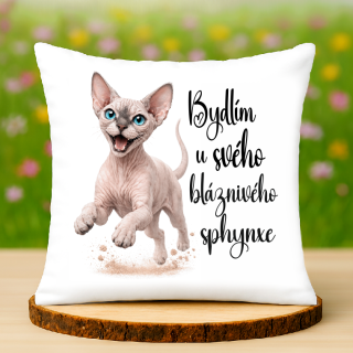 Polštář Sphynx kočka - modré oči