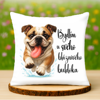 Polštář Anglický buldok