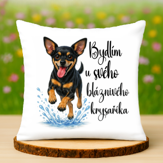 Polštář Pražský krysařík