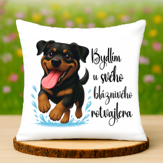 Polštář Rotvajler