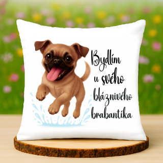 Polštář Grifonek brabantský