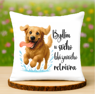 Polštář Zlatý retrívr