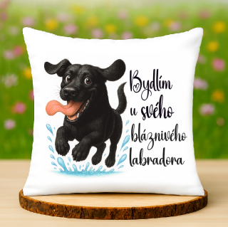 Polštář Labrador černý