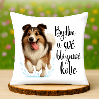 Polštář Kolie dlouhosrstá