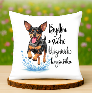 Polštář Pražský krysařík